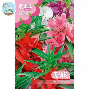 【原廠包裝】鳳仙花種子 (Nemesis) 2克裝  台灣現貨四季可種 陽台盆栽易開花 耐陰庭院花卉 指甲花彩繪DIY