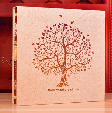 相冊6寸超大容量1000張5678寸5寸一本裝相冊影集混裝插頁式家庭