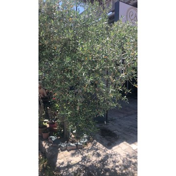 補寄專區，補件專用。