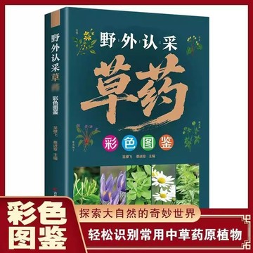 【墨香書苑】簡體中文 野外認採草藥 彩色圖鑑圖解通俗易懂實用性強 輕鬆識別中草藥