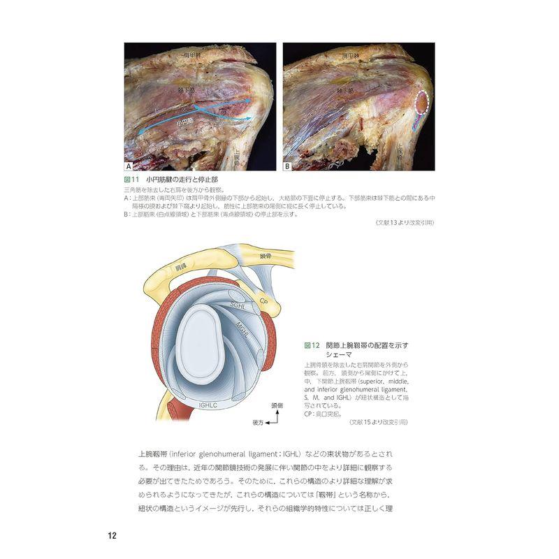 整形外科医のための 肩のスポーツ診療のすべて