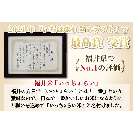 ふるさと納税 《定期便6回》いっちょらい 無洗米 5kg（計30kg） ／ 福井県産 ブランド米 コシヒカリ ご飯 白米 新鮮 大賞 受賞 .. 福井県あわら市