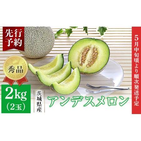 ふるさと納税 007-1茨城県産アンデスメロン約2kg（2玉） 茨城県茨城町