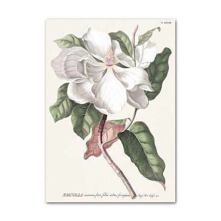 Magnolia Rose Flower Quotes Wall Art Canvas Painting Modern Nordic Posters and Prints Wall Pictures for Living Room Home Decor (Color Canvas並行輸入