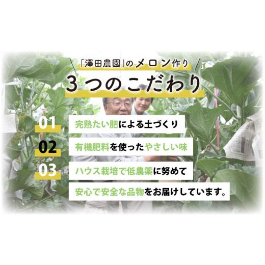 ふるさと納税 福井県 あわら市 マスクメロン・ペルルメロン 2種セット(2玉入）大玉で食べ応え抜群！  ／ 期間限定 果物 フルーツ 産地直送 青肉 …