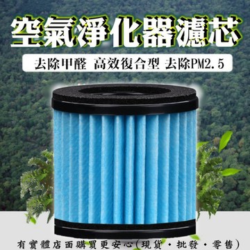 【現貨】純濾芯 智能車家兩用空氣淨化器濾芯 無機器 家用車用 塵蟎剋星 殺菌 空氣清淨機 異味分解 興雲網購