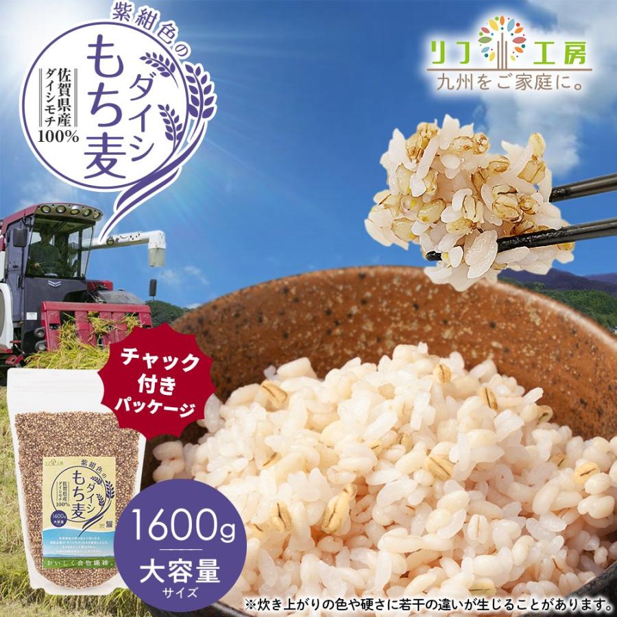 もち麦 国産 ダイシモチ 佐賀県産100% 紫紺色のダイシもち麦 1600g リフ工房 もちむぎ 国産 もち 麦 麦飯 麦ごはん 麦ご飯 チャック袋付き スタンドパック