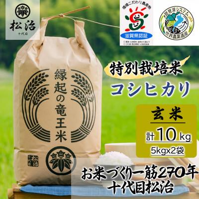 ふるさと納税 竜王町 特別栽培米 十代目松治のコシヒカリ 「縁起の竜王米」 玄米5kgx2袋 滋賀県産