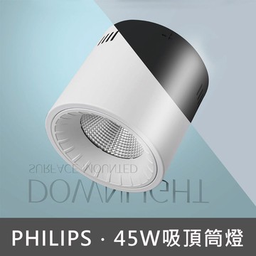 45W吸頂筒燈 C13-JBR30241(訂製品不可退貨)