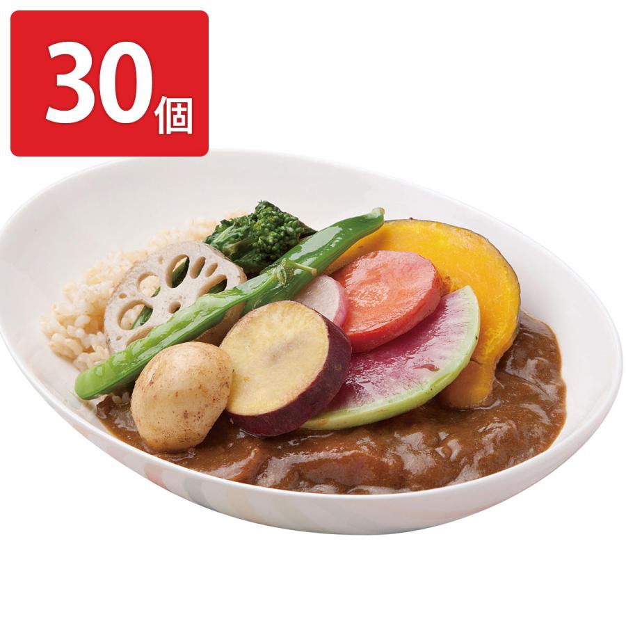 「俺たちの能登」カレー 30個セット カレー 惣菜 野菜カレー 簡単