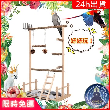 【寵物覺醒24h出貨】鸚鵡桌上遊樂場(夾杯)桌上站架站架站杆站立鸚鵡玩具鸚鵡用品