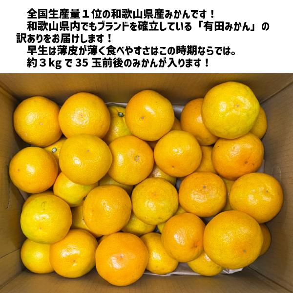 和歌山県産 有田みかん 訳あり 早生 約3kg (35玉前後) 有田産 みかん ゆら 田口 宮川 早生品種 ミカン ご家庭用