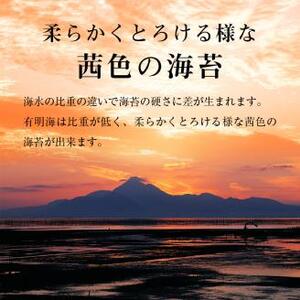 有明海苔 味海苔 大丸ボトル 8切80枚 8本セット