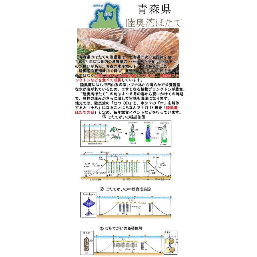 ホタテ＆しじみ汁青森県産46食セット 賞味期限6ヵ月 常温 　保存食　しじみちゃん本舗　青森市