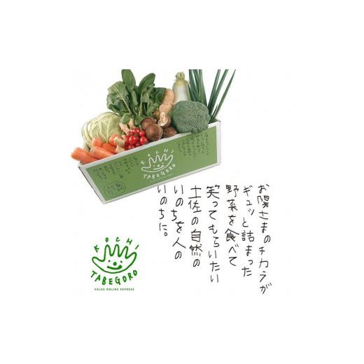 ふるさと納税 高知県 香美市 「定期便」野菜詰め合わせセット6ヵ月