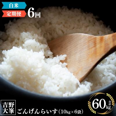 ふるさと納税 吉野町 奈良のお米のお届け便　10kg×6回分　白米