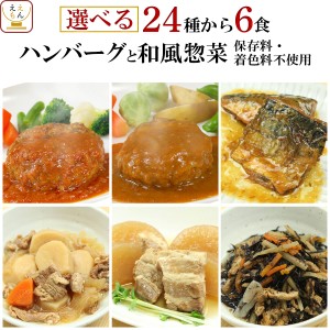 レトルト 惣菜 おかず 4種と ハンバーグ 2種 選べる 6食 詰め合わせ セット  レトルト食品 国産 牛肉 豚肉