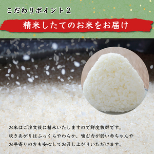 令和5年産 福岡県産 ブランド米「夢つくし」白米 計20kg [a0248] 株式会社 ゼロプラス 添田町 ふるさと納税