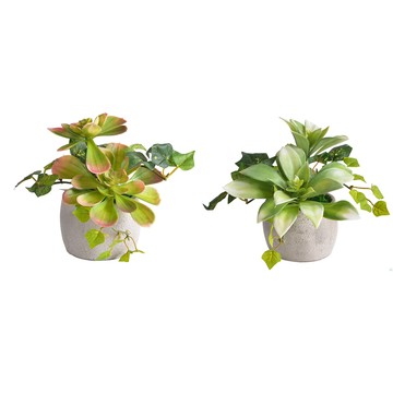 Meric Garden 高仿真多肉植物療癒手工水泥小盆栽_2款一組(白佛甲+石蓮)