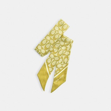 經典 SIGNATURE 復古印花真絲窄圍巾