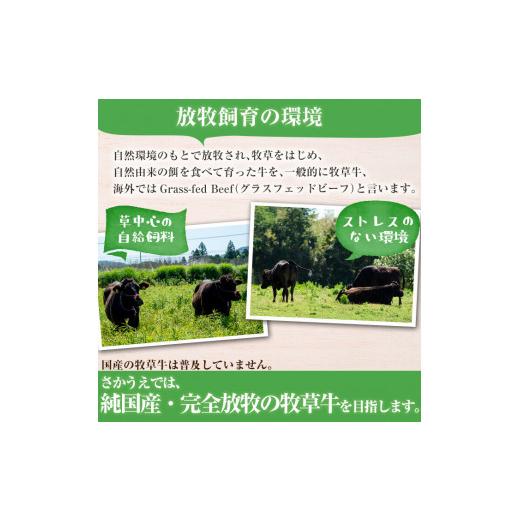 ふるさと納税 鹿児島県 志布志市 牧草育ちの里山牛 切り落とし 計800g a9-011