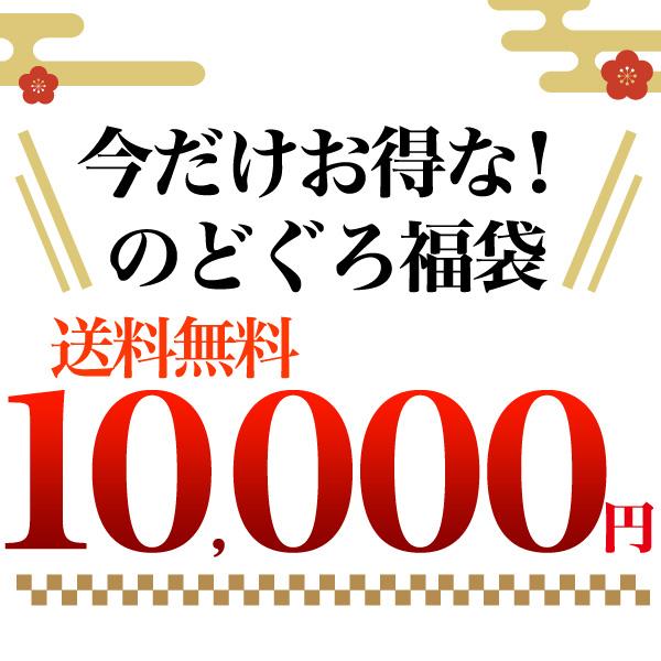 ギフト   干物 福袋 一夜干し のどぐろ  5枚 白いか 4枚 詰め合わせ セット グルメ ノドグロ お中元 お歳暮