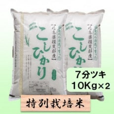 特別栽培米 20kg(コシヒカリ)