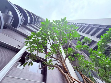 仰星殿★黃金地段邊間兩房平車露台戶｜台中市西屯區臺灣大道三段