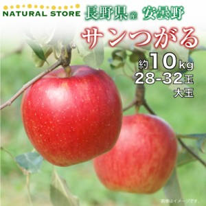 [最短順次発送]  サンつがる 約 10kg 28-32玉 大玉りんご 長野県産 安曇野 りんご 秋ギフト 果実専用箱