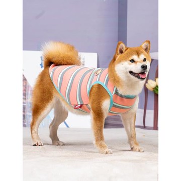 狗狗衣服秋冬保暖背心2024新款秋季寵物柴犬小泰迪雪納瑞比熊秋裝