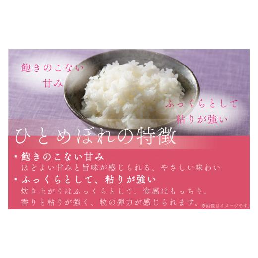 ふるさと納税 岩手県 紫波町 AE117　★令和5年産★特A受賞 銀河のしずく・ひとめぼれ食べ比べセット10kg（各種5kg）(無洗米)