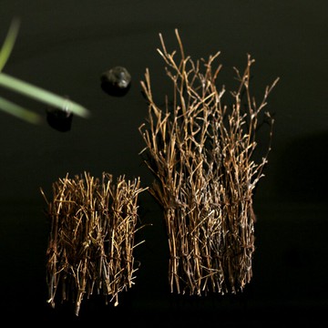 竹絲壽司盤擺設樹竹籬笆竹絲掃竹編竹籬笆擺件日韓料理擺盤裝飾品