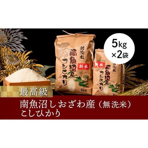 ふるさと納税 新潟県 南魚沼市 南魚沼塩沢産こしひかり5kg×2袋(無洗米)