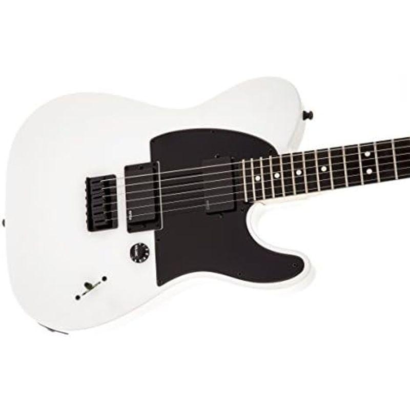 エレキギター Fender JIM ROOT STRATOCASTER?