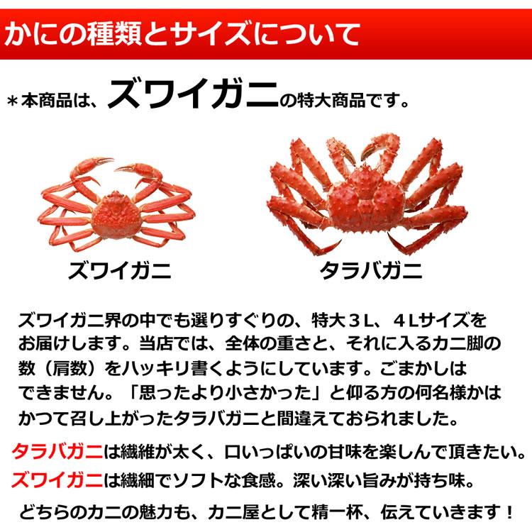 お歳暮 御歳暮 ギフト 2023 カニ かに 蟹 特大 ズワイガニ 脚 3kg (3L・4Lサイズ) 3キロ 海鮮 ボイル 蟹 足 脚 グルメ ギフト 送料無料