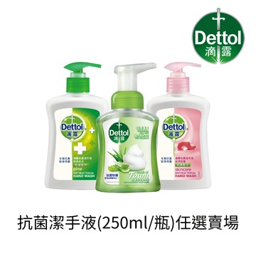 【滴露】抗菌潔手液(250ml/瓶) - 任選賣場｜官方旗艦店