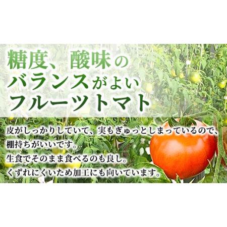 ふるさと納税 夜須町産フルーツトマト 2kg箱入り トマト フルーツトマト 野菜 贈り物 箱入り ga-0005 高知県香南市