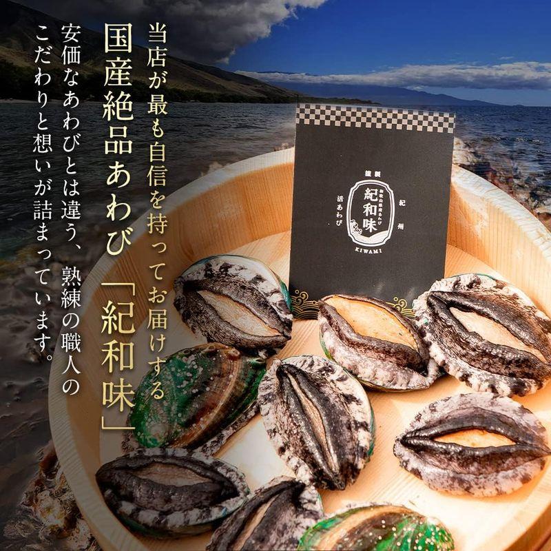 和歌山県産アワビ むき身 300g (約6粒-13粒入) ×2袋 お歳暮 おせち 真空パック 蝦夷あわび 蝦夷アワビ アワビ 鮑 煮貝 蒸し