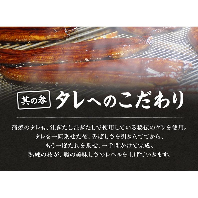 うなぎ蒲焼 国産 愛知県三河一色産 うなぎ 蒲焼き 長焼き 140g ウナギ 鰻