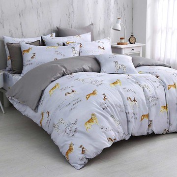 雙人兩用被套床包組/美國棉授權品牌 300織/ 瑞奇樂曲 [鴻宇] 台灣製 - 2505