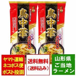 鳥中華 送料無料 山形県 ご当地ラーメン 中華そば 山形県のそば屋の中華 とりちゅうか そばつゆ 味 スープ付 1袋(2人前)×2 ちゅうかそば