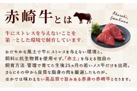 赤崎牛 赤身焼肉カット 約600g×6ヶ月 計3.6kg