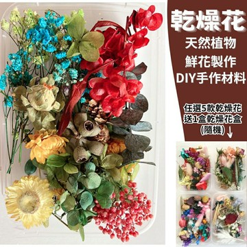【A-ONE】DIY天然乾燥花盒 永生花材料包 香薰蠟燭 香氛片材料 天然乾燥花 植物果實 短枝 碎花 C15