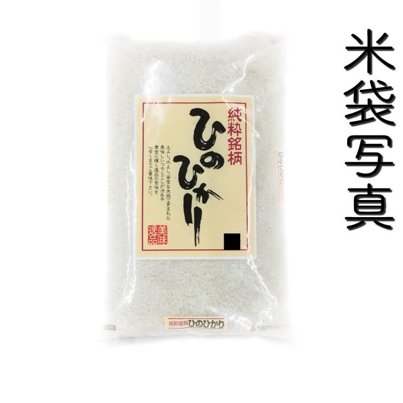 お米 米 5kg 白米 一等米使用 熊本県産 ひのひかり あすつく 新米 令和5年産 ヒノヒカリ 5kg1個 くまもとのお米 富田商店 とみた商店