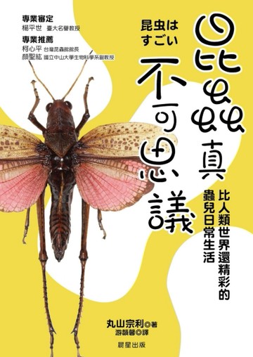 昆蟲真不可思議：比人類世界還精采的蟲兒日常生活【二手書_良好】TAAZE讀冊生活