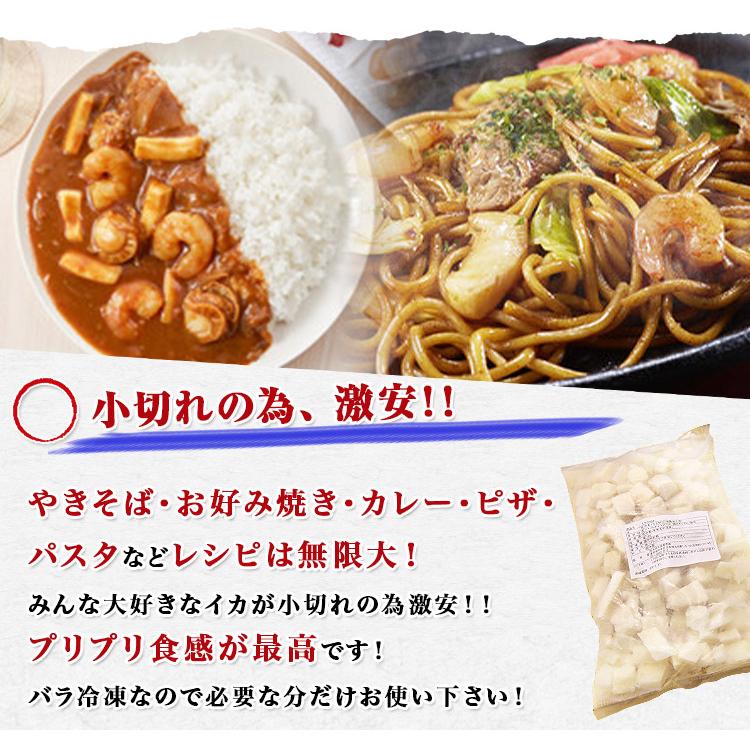 いか イカ 訳あり わけあり イカ小切れ 切り落とし タップリ 1kg 加熱用 送料無料 グルメ 食品 お歳暮 ギフト 10%クーポン