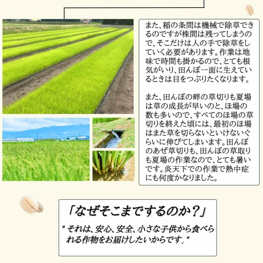 完全無農薬 無化学肥料栽培 原農場のまる麦400g 有機JAS 原さん 国産熊本県産 ぷち麦 プチプチ食感 裸麦 大麦 メール便 無添加 無着色 健康 安全 チャック付き