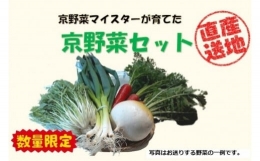 先行予約京野菜セット ＜数量限定＞