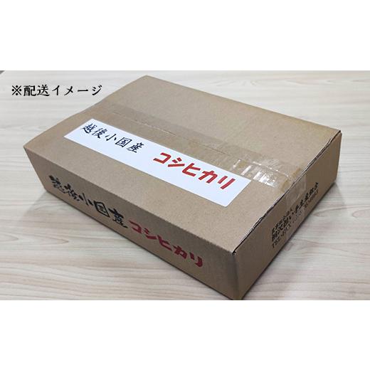 ふるさと納税 新潟県 長岡市 L7-04新潟県小国町産コシヒカリ「きりさわ米」5kg