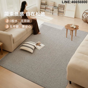 免運 開立發票 地毯 毛毯 輕奢家用羊毛地毯客廳臥室易打理床邊毯大面積滿鋪